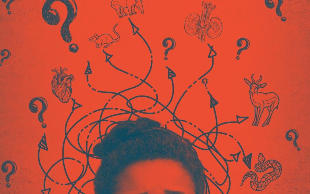 What’s The Word for Kidneys?